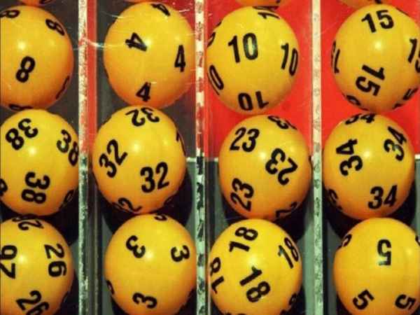 Khi nuôi số đầu câm cần phải thật lưu ý