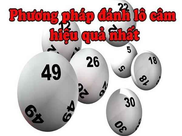 Giới thiệu chi tiết cách nuôi số đầu câm tới anh em