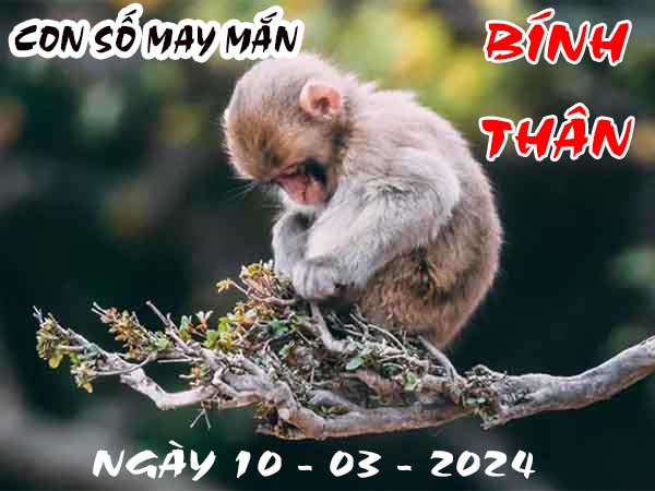 Phân tích con số may mắn tuổi Bính Thân ngày 10/3/2024