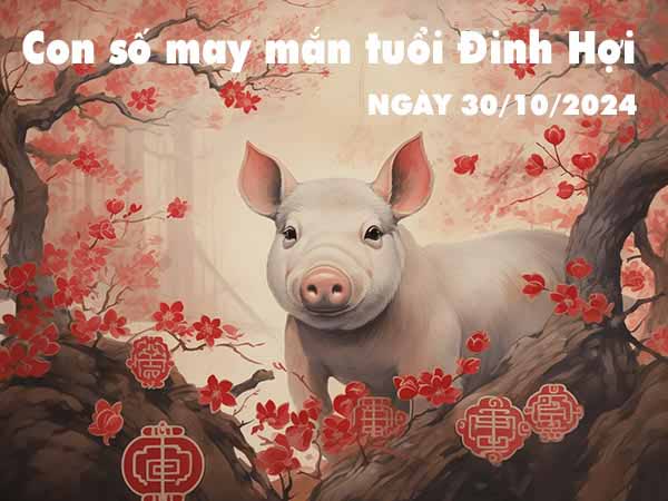 Phân tích con số tài lộc tuổi Đinh Hợi ngày 30/10/2024 thứ 4 hôm nay