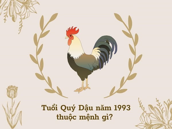 Tuổi Dậu 1993 thuộc mệnh gì trong phong thủy?