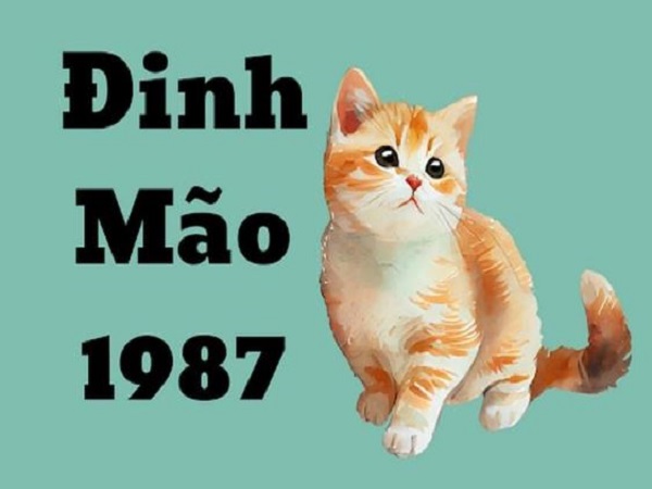 Đặc điểm phong thủy của tuổi Mão 1987