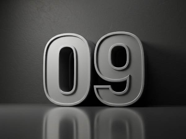 Lô về 09 hôm sau đánh con gì bí quyết chọn số chuẩn xác Lô về 09 hôm sau đánh con gì bí quyết chọn số chuẩn xác