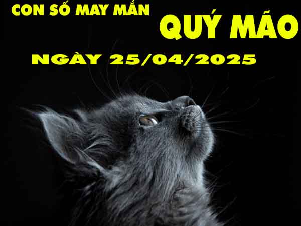 Con số may mắn tuổi Quý Mão ngày 25/4/2025 thứ 6 hôm nay