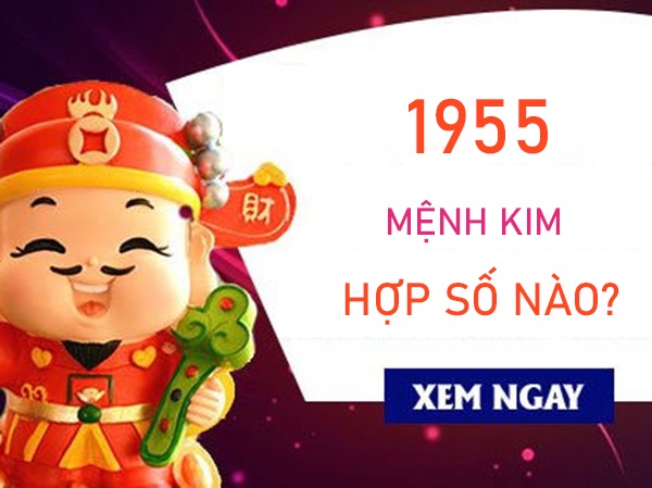 Mệnh Kim 1955 hợp số nào ổn định vận trình?