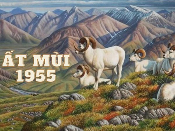 Mệnh Kim 1955 hợp số nào ổn định vận trình?