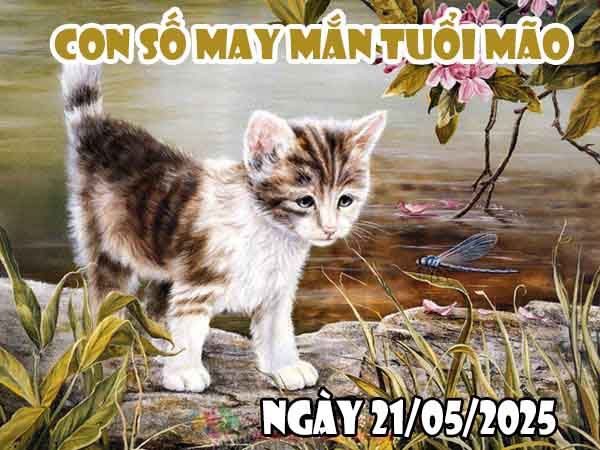 Con số phát lộc tuổi Mão ngày 21/5/2025 thứ 4 hôm nay