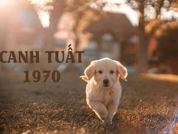 Con số may mắn gọi cát lành cho tuổi Canh Tuất 4/6/2025