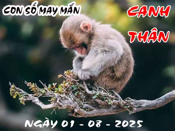 Con số may mắn tuổi Canh Thân ngày 1/8/2025 thứ 6 hôm nay