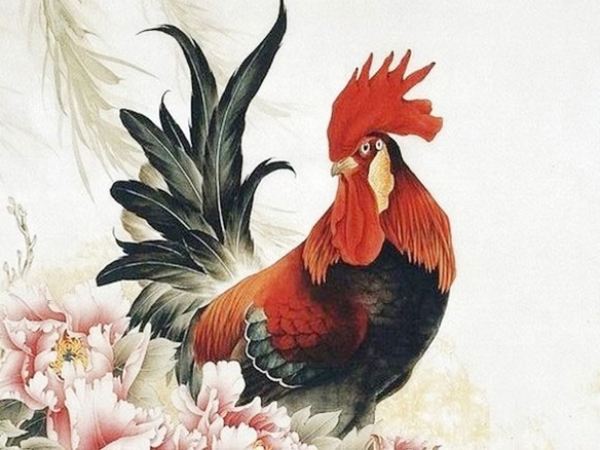 Con số may mắn tuổi Dậu ngày 23/7/2025 lộc lá