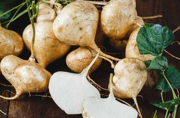 Mộng thấy người khác tặng mình củ đậu