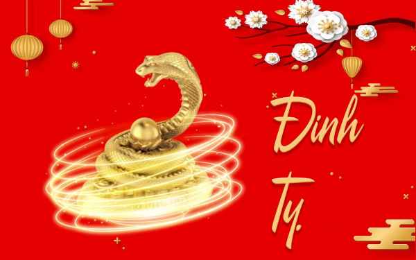 Số may mắn tuổi Đinh Tỵ 23/7/2025 có gì đặc biệt?