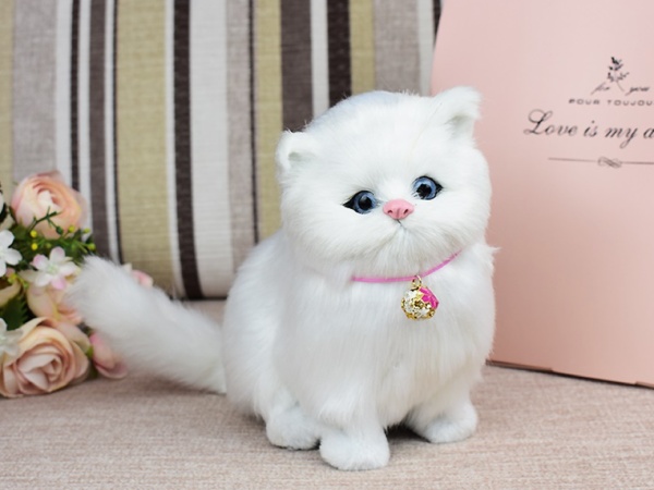 Ngủ mơ thấy mèo trắng có điềm gì dữ hay lành?