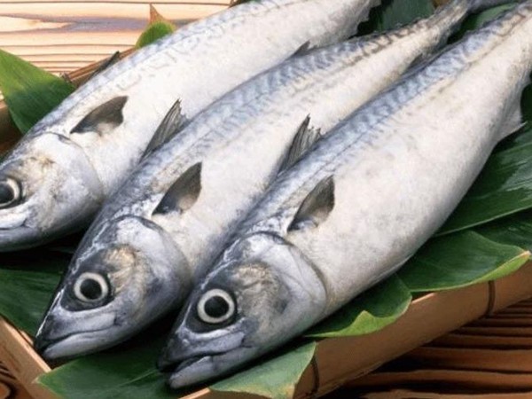 Giải mã điềm báo thú vị khi ngủ mơ thấy cá thu