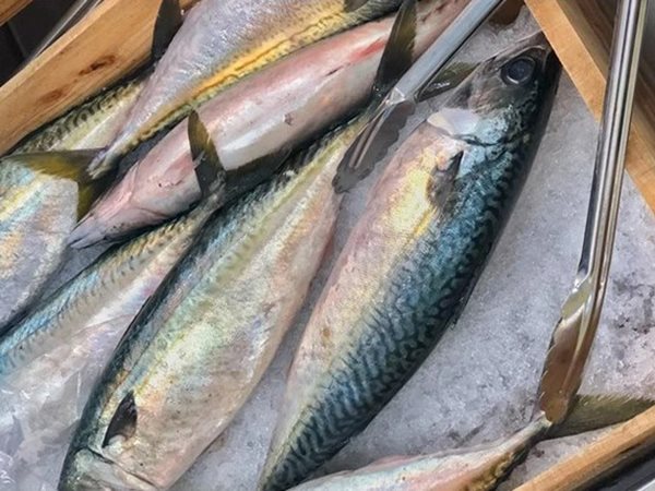 Giải mã điềm báo thú vị khi ngủ mơ thấy cá thu