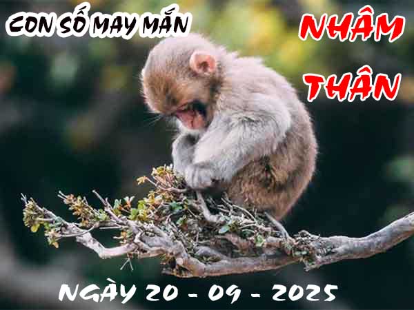 Con số may mắn tuổi Nhâm Thân ngày 20/9/2025 thứ 7 hôm nay