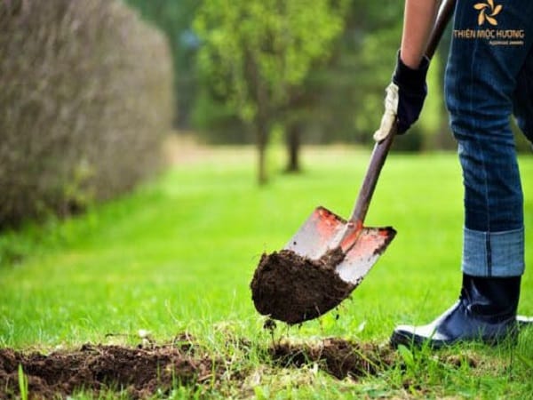 Giải mã nằm mơ thấy đào đất cho biết điều gì sắp xảy ra?