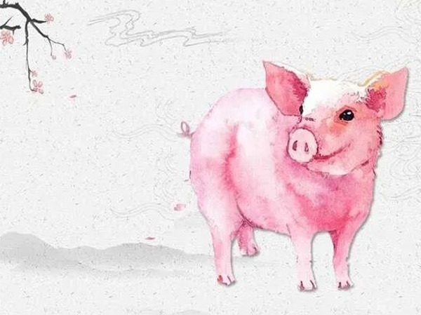 Tử vi tuổi Quý Hợi 27/11/2025 đổi vận với số hên