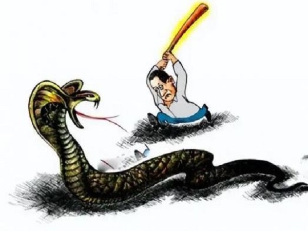 Nằm mơ thấy chuột cắn tay con gì chuẩn, là điềm gì?