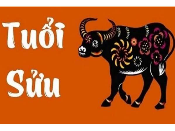 Tử vi tuổi Sửu ngày 22/5 thứ 6