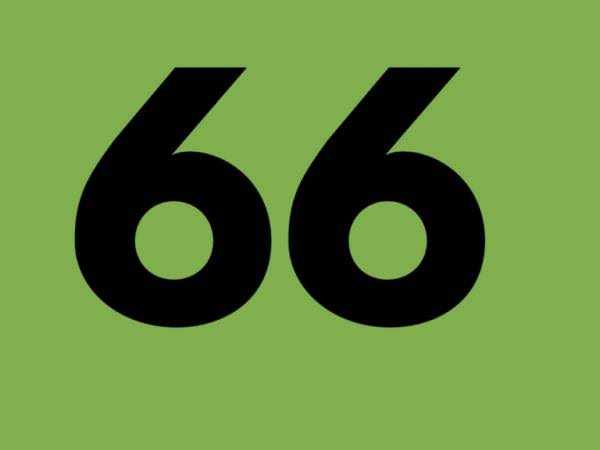 Thống kê đề về 66 hôm sau ra con gì, tham khảo số gì đẹp?