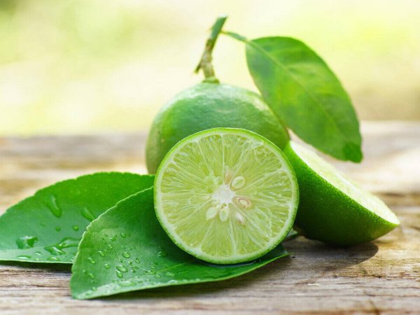 Nằm mơ thấy quả chanh lành hay dữ, chọn số nào đẹp?